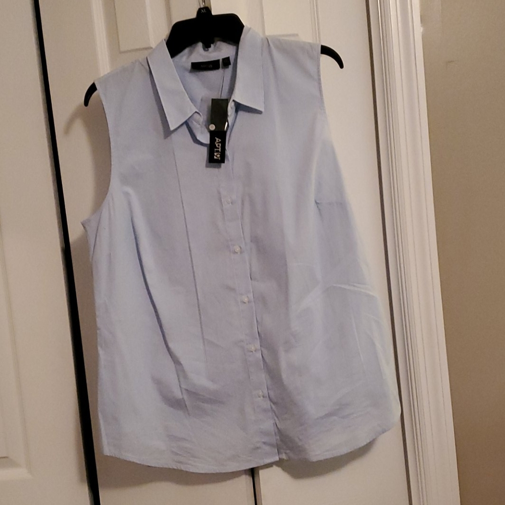 Light Blue pinstripe blouse